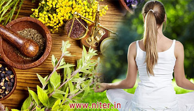 Yoga & Naturopathy Courses